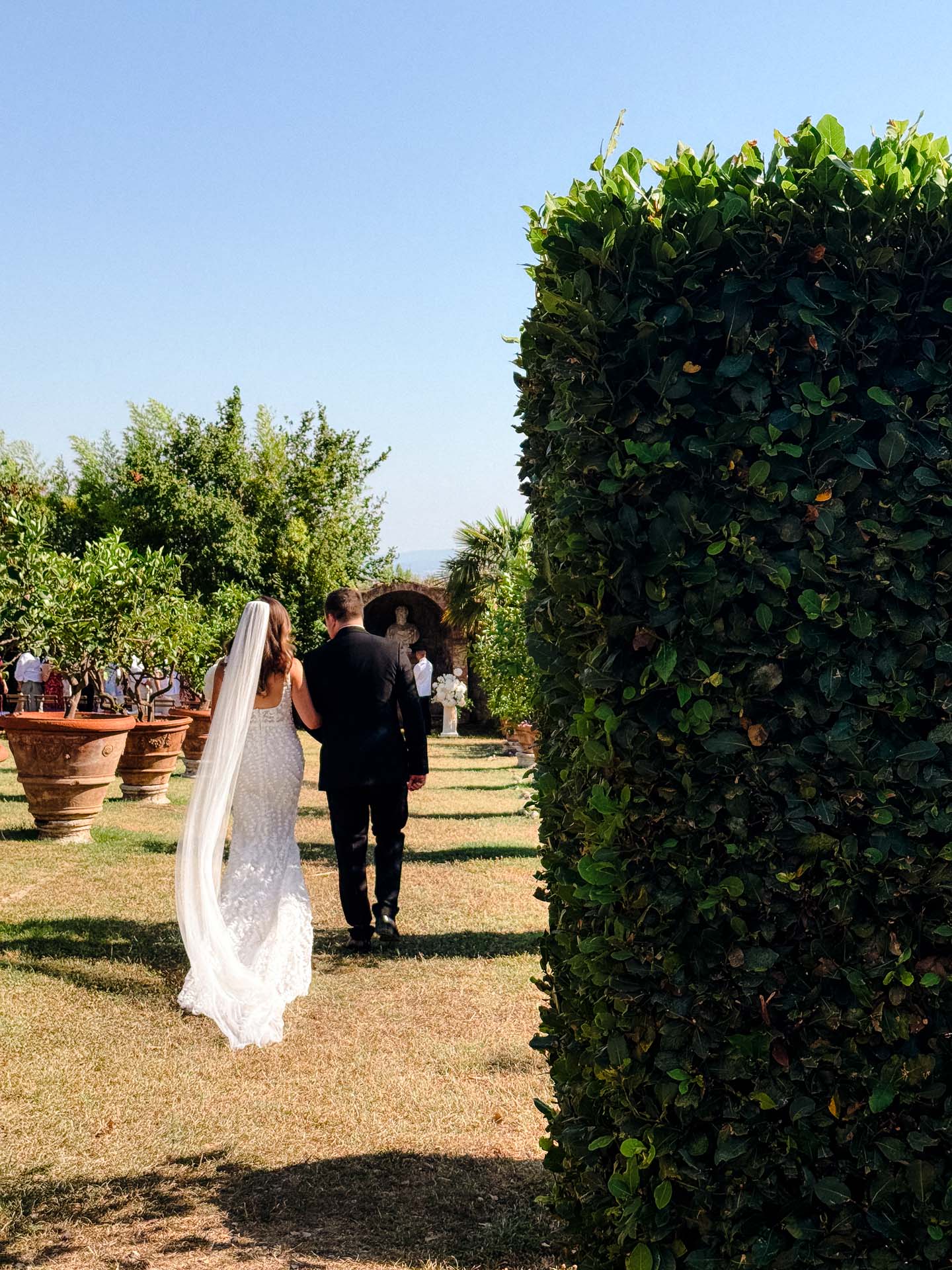 Bride in a white wedding dress and groom in a black suit walk away down a sunny garden path with trimmed hedges and potted trees on the left.