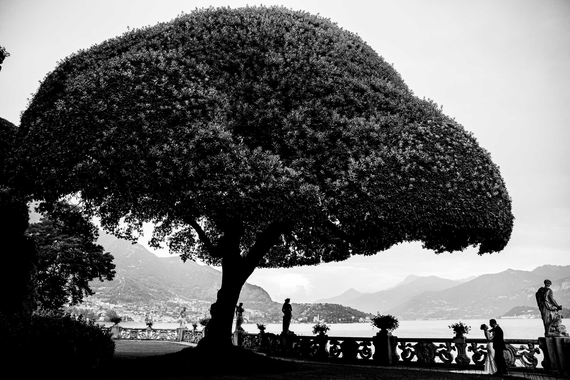 A couple beside Lake Como beneath a large tree